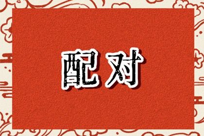 现代婚恋中的合婚角色