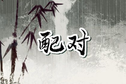 星座配对(民俗参考)